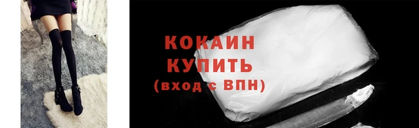 СК Протвино
