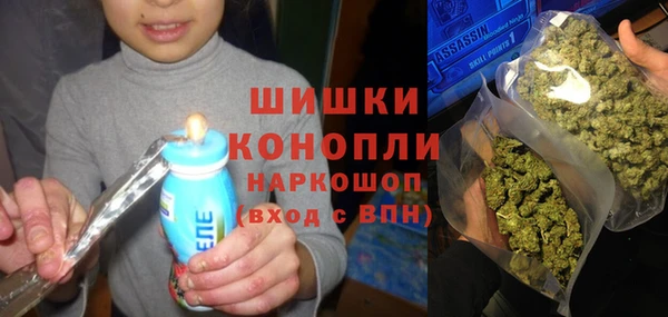 стафф Приозерск