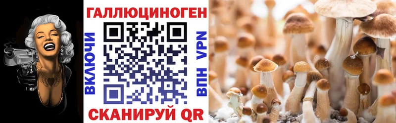 Галлюциногенные грибы Psilocybe  дарнет шоп  Кологрив 