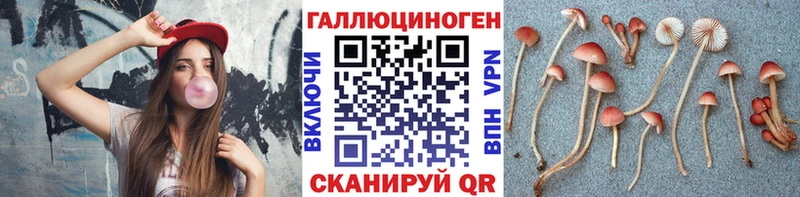 Псилоцибиновые грибы Magic Shrooms Кологрив